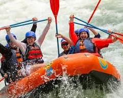 Ultimate Team Synergy